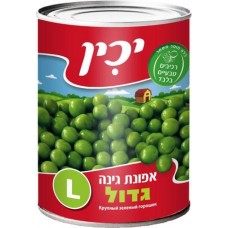 Yachin, Pri Mevorah - large garden peas.