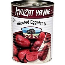 Kvuzat Yavne - Selected Eggplants