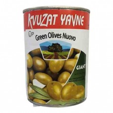 Kvuzat Yavne Green Olives Nuovo